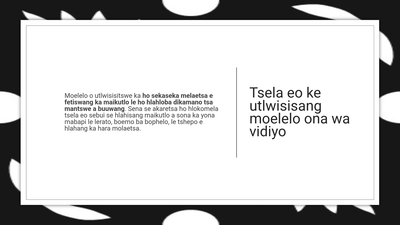 Slide 5