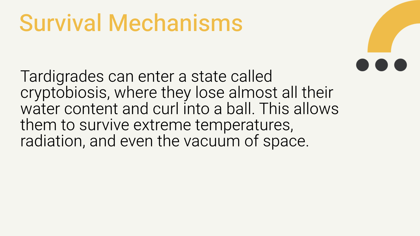 Slide 5