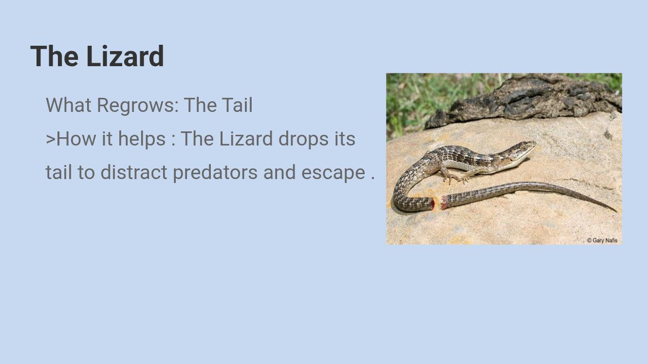 Slide 3