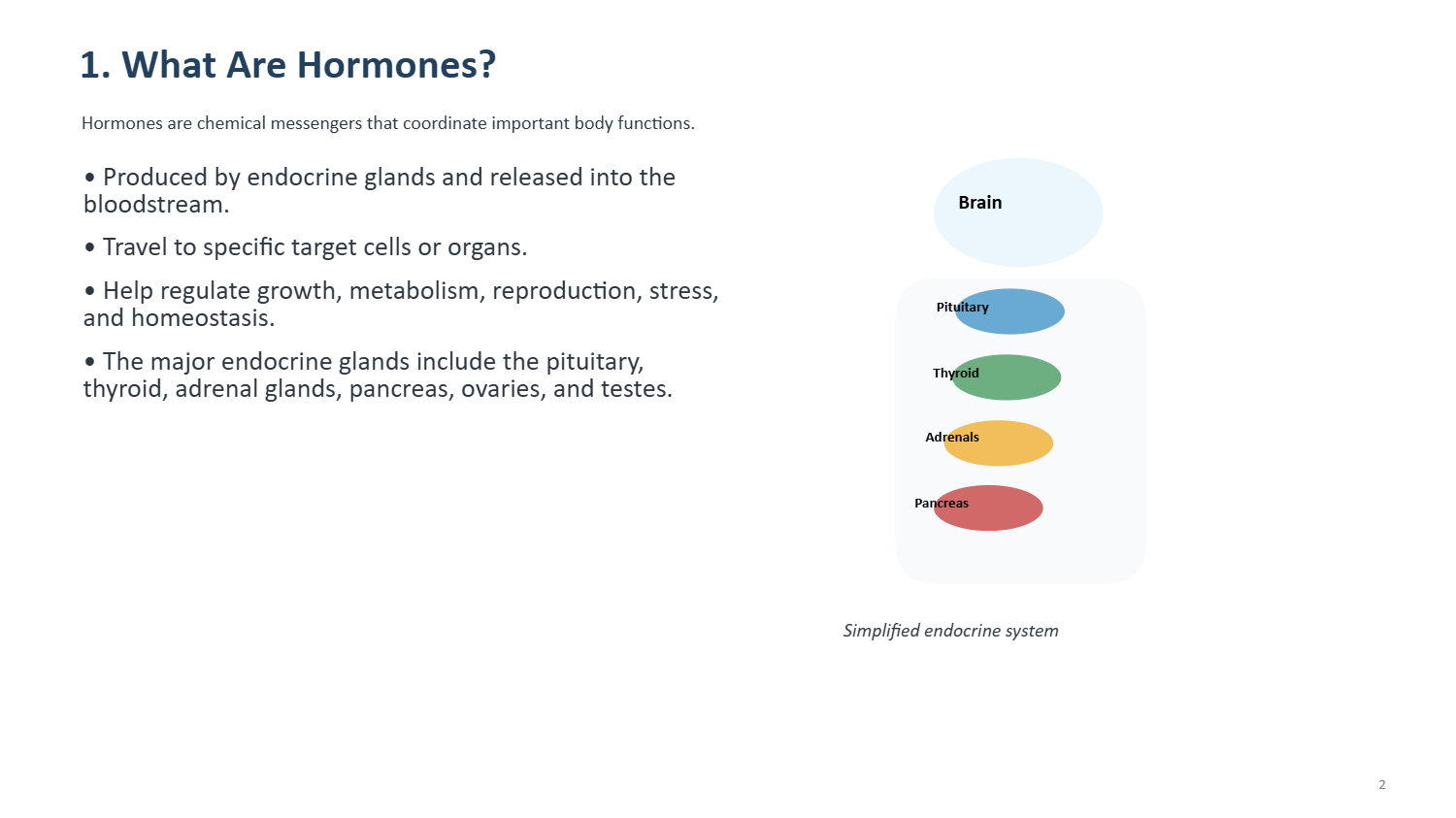 Slide 2