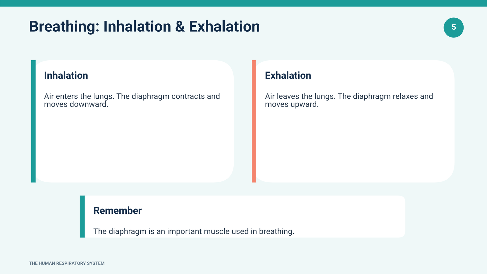 Slide 5