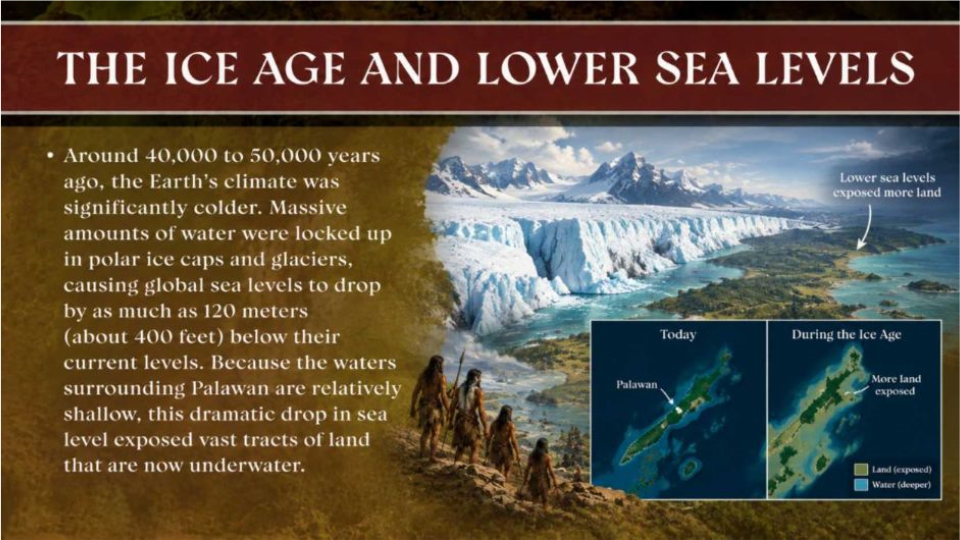 Slide 3