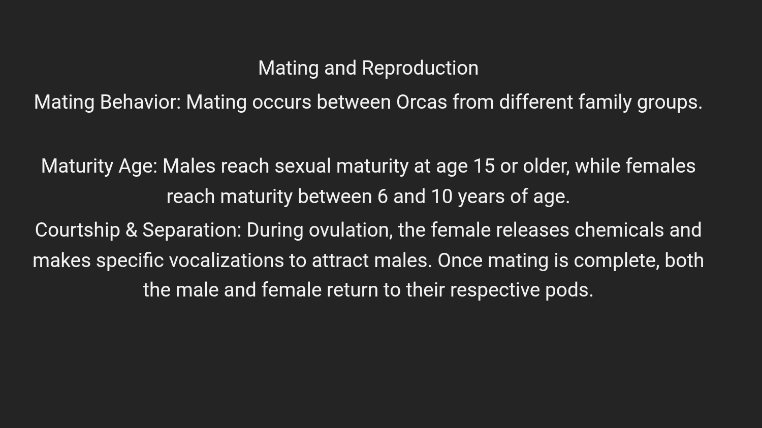 Slide 5